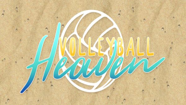 Volleyball Heaven for android