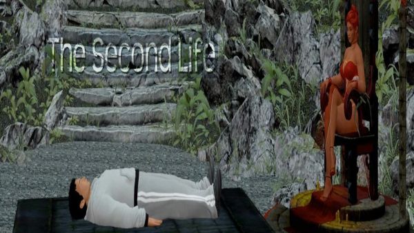 The Second Life