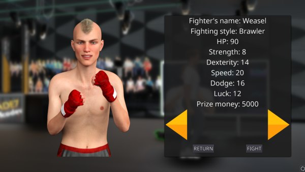 MMA Life Simulator