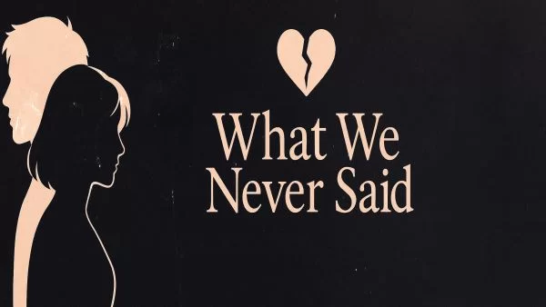 What We Never Said
